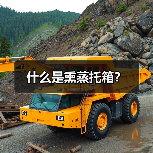 什么是熏蒸托箱?(图3) 什么是熏蒸托箱?(图3)
