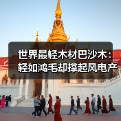 世界最轻木材巴沙木:轻如鸿毛却撑起风电产业半边天(图1) 世界最轻木材巴沙木:轻如鸿毛却撑起风电产业半边天(图1)