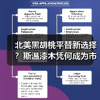 北美黑胡桃平替新选择?斯温漆木凭何成为市场新宠(图1) 北美黑胡桃平替新选择?斯温漆木凭何成为市场新宠(图1)