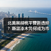 北美黑胡桃平替新选择?斯温漆木凭何成为市场新宠(图3) 北美黑胡桃平替新选择?斯温漆木凭何成为市场新宠(图3)