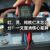 红、黄、褐榄仁木怎么分？一文厘清核心差异与应用边界（图1）