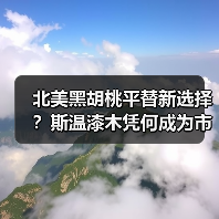 玄熵富翔地板之家 - 高品质地板销售与安装服务