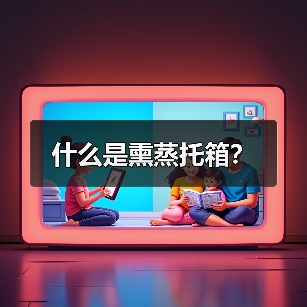 什么是熏蒸托箱？（图2）