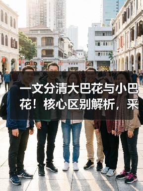 一文分清大巴花与小巴花！核心区别解析，采购避坑必看（图3）