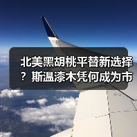 北美黑胡桃平替新选择？斯温漆木凭何成为市场新宠（图2）