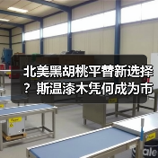 北美黑胡桃平替新选择？斯温漆木凭何成为市场新宠（图1）