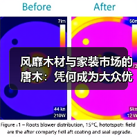 风靡木材与家装市场的唐木：凭何成为大众优选材种？（图1）