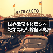 世界最轻木材巴沙木：轻如鸿毛却撑起风电产业半边天（图4）