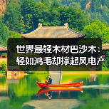 世界最轻木材巴沙木：轻如鸿毛却撑起风电产业半边天（图2）