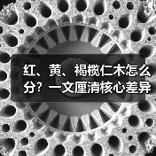 红、黄、褐榄仁木怎么分？一文厘清核心差异与应用边界（图3）