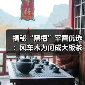揭秘“黑檀”平替优选：风车木为何成大板茶桌高端材质新宠？（图2）