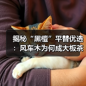 揭秘“黑檀”平替优选：风车木为何成大板茶桌高端材质新宠？（图3）