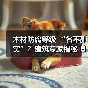 木材防腐等级 “名不副实”？建筑专家揭秘 H3 失效背后的设计危机（图4）