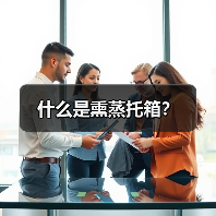 什么是熏蒸托箱？（图1）