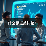 什么是熏蒸托箱？（图2）
