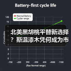 北美黑胡桃平替新选择？斯温漆木凭何成为市场新宠（图1）
