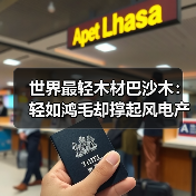 世界最轻木材巴沙木：轻如鸿毛却撑起风电产业半边天（图2）