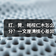 红、黄、褐榄仁木怎么分？一文厘清核心差异与应用边界（图3）