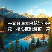 一文分清大巴花与小巴花！核心区别解析，采购避坑必看（图1）