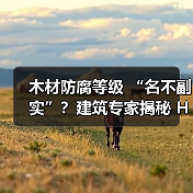木材防腐等级 “名不副实”？建筑专家揭秘 H3 失效背后的设计危机（图3）