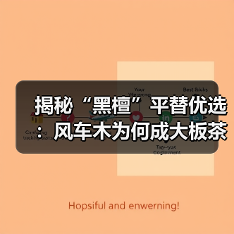 揭秘“黑檀”平替优选：风车木为何成大板茶桌高端材质新宠？（图2）