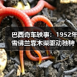 巴西奇车轶事：1952年雪佛兰靠木柴驱动驰骋半世纪（图1）