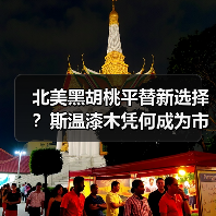 北美黑胡桃平替新选择？斯温漆木凭何成为市场新宠（图4）