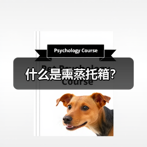 什么是熏蒸托箱？（图1）