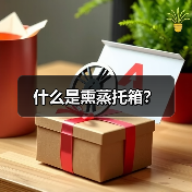 什么是熏蒸托箱？（图2）