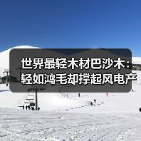 世界最轻木材巴沙木：轻如鸿毛却撑起风电产业半边天（图3）