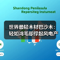 世界最轻木材巴沙木：轻如鸿毛却撑起风电产业半边天（图2）