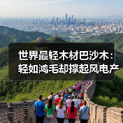 世界最轻木材巴沙木：轻如鸿毛却撑起风电产业半边天（图4）
