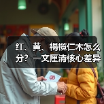 红、黄、褐榄仁木怎么分？一文厘清核心差异与应用边界（图3）