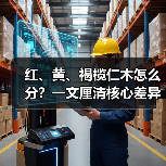 红、黄、褐榄仁木怎么分？一文厘清核心差异与应用边界（图1）