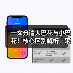 一文分清大巴花与小巴花！核心区别解析，采购避坑必看（图2）