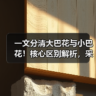 一文分清大巴花与小巴花！核心区别解析，采购避坑必看（图1）