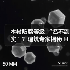 木材防腐等级 “名不副实”？建筑专家揭秘 H3 失效背后的设计危机（图3）