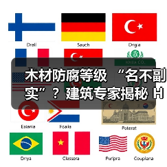 木材防腐等级 “名不副实”？建筑专家揭秘 H3 失效背后的设计危机（图4）