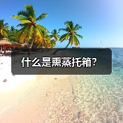 什么是熏蒸托箱？（图1）
