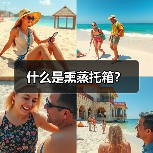 什么是熏蒸托箱？（图3）
