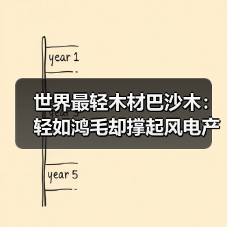 世界最轻木材巴沙木：轻如鸿毛却撑起风电产业半边天（图2）