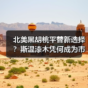 北美黑胡桃平替新选择？斯温漆木凭何成为市场新宠（图2）