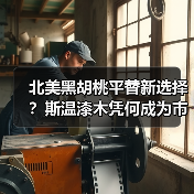 北美黑胡桃平替新选择？斯温漆木凭何成为市场新宠（图3）