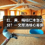 玄熵富翔地板之家 - 高品质地板销售与安装服务