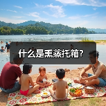 什么是熏蒸托箱？（图4）