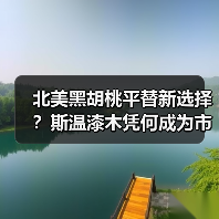玄熵富翔地板之家 - 高品质地板销售与安装服务