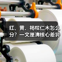 红、黄、褐榄仁木怎么分?一文厘清核心差异与应用边界(图2) 红、黄、褐榄仁木怎么分?一文厘清核心差异与应用边界(图2)