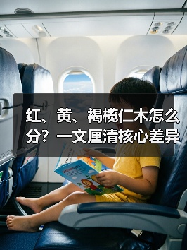 红、黄、褐榄仁木怎么分?一文厘清核心差异与应用边界(图4) 红、黄、褐榄仁木怎么分?一文厘清核心差异与应用边界(图4)