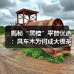 揭秘“黑檀”平替优选：风车木为何成大板茶桌高端材质新宠？（图4）