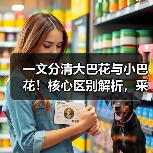 玄熵富翔地板之家 - 高品质地板销售与安装服务